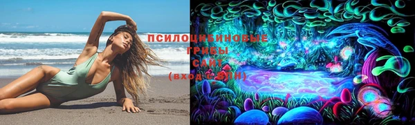 mdpv Кинешма